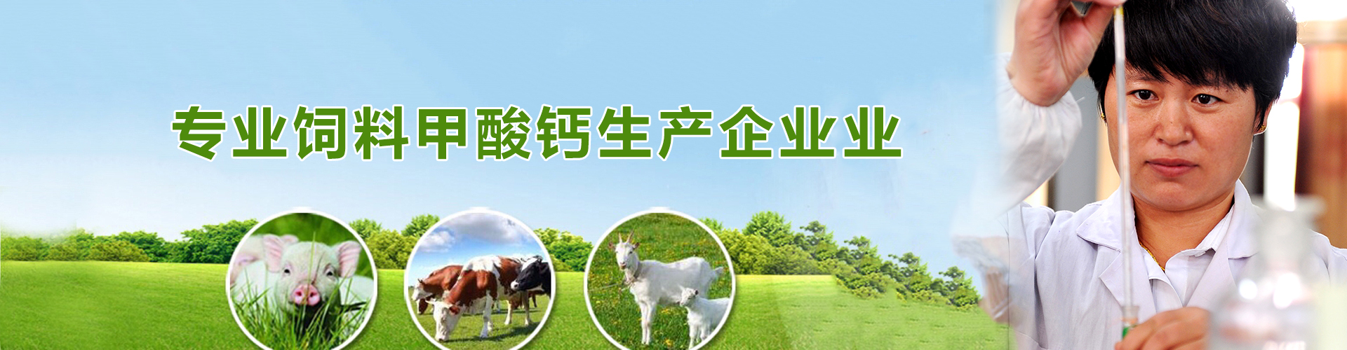 專業(yè)飼料級(jí)甲酸鈣生產(chǎn)企業(yè)